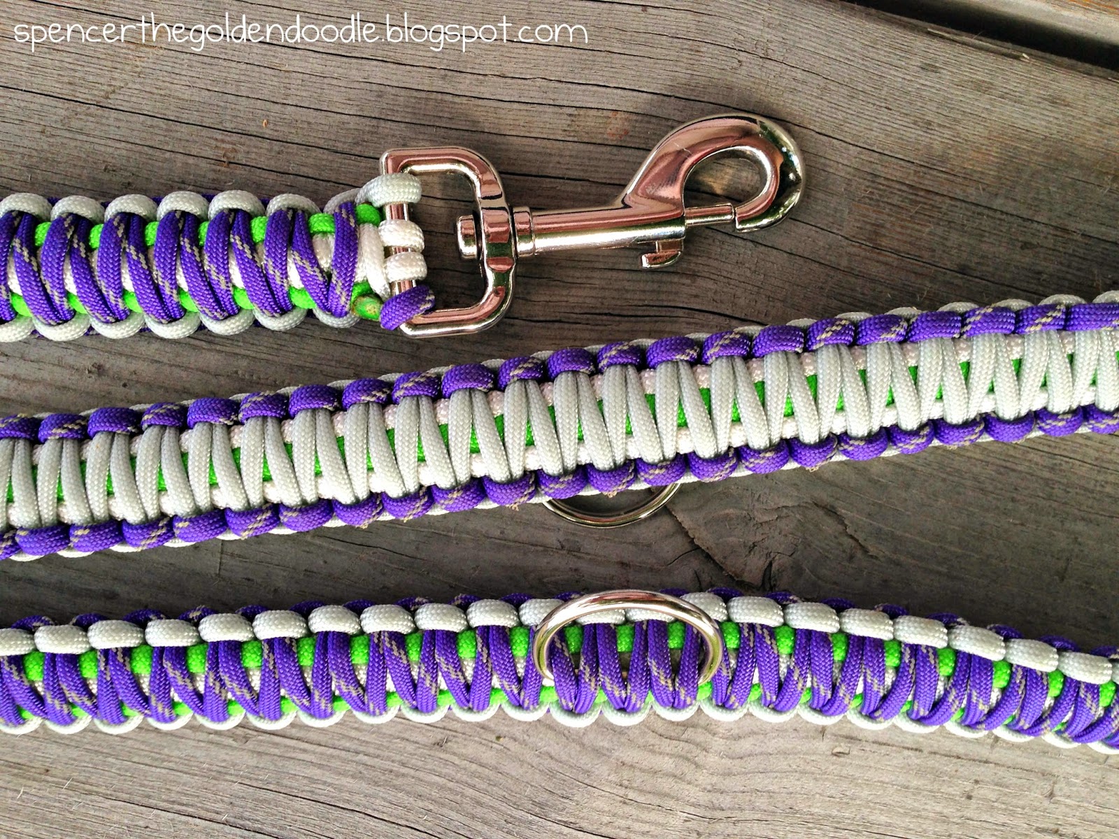 Spencer the Goldendoodle Thoughtless Thursday Strike a Cord Dog Leash